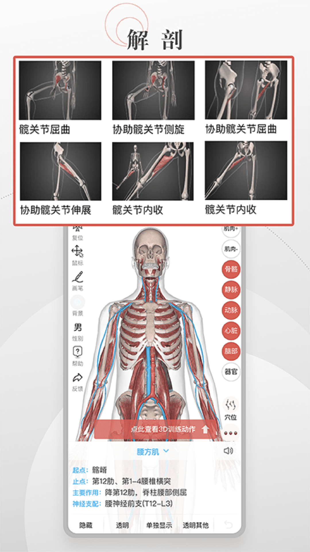 3D运动健康