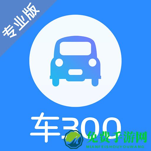 车300二手车车商专用版