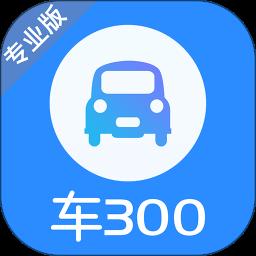 车300专业版软件