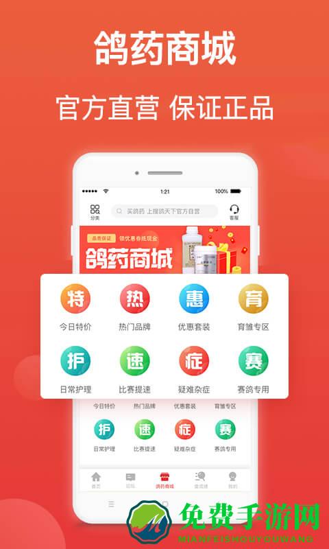 赛鸽头条app