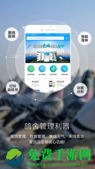 “爱鸽者app下载”