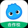 洋葱学园校园版app