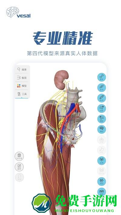 解剖大师app