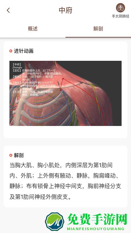 经络穴位3d软件下载