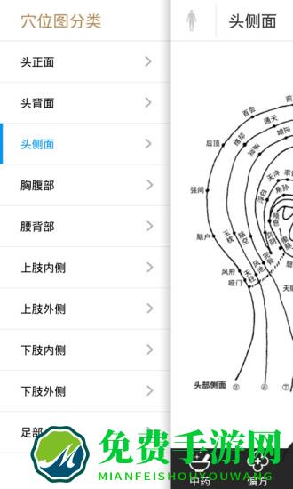 中草药大全(中药大全)