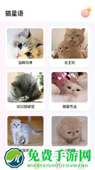 猫言猫语翻译免费版(猫语翻译大师)